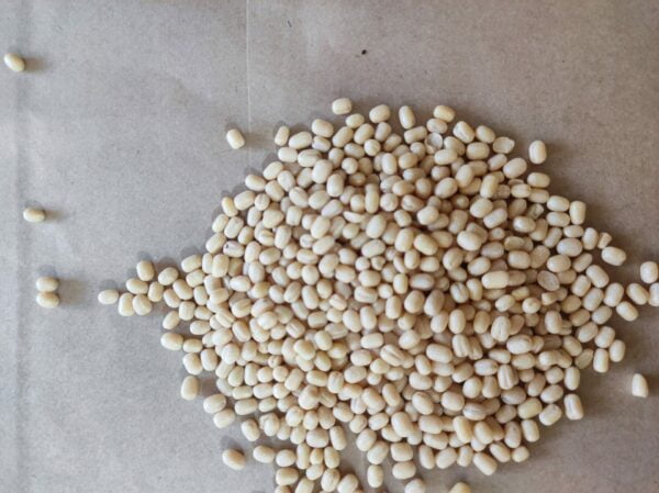 Urad Gota/Whole white