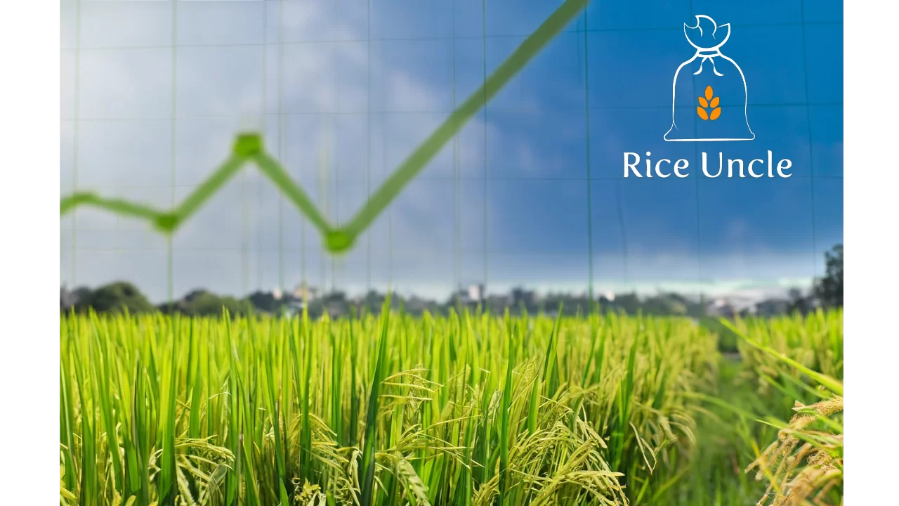 Rice Prices: What’s cooking? And what can we do at RiceUncle.com in 2024?